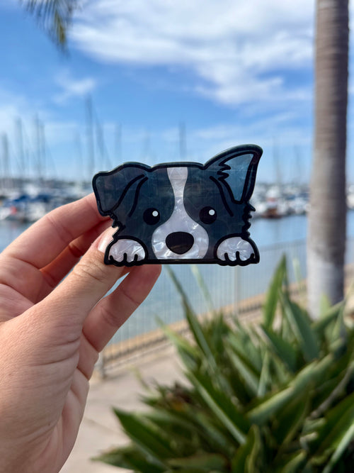 Border Collie face hair claw clip in black and white pearlescent finish