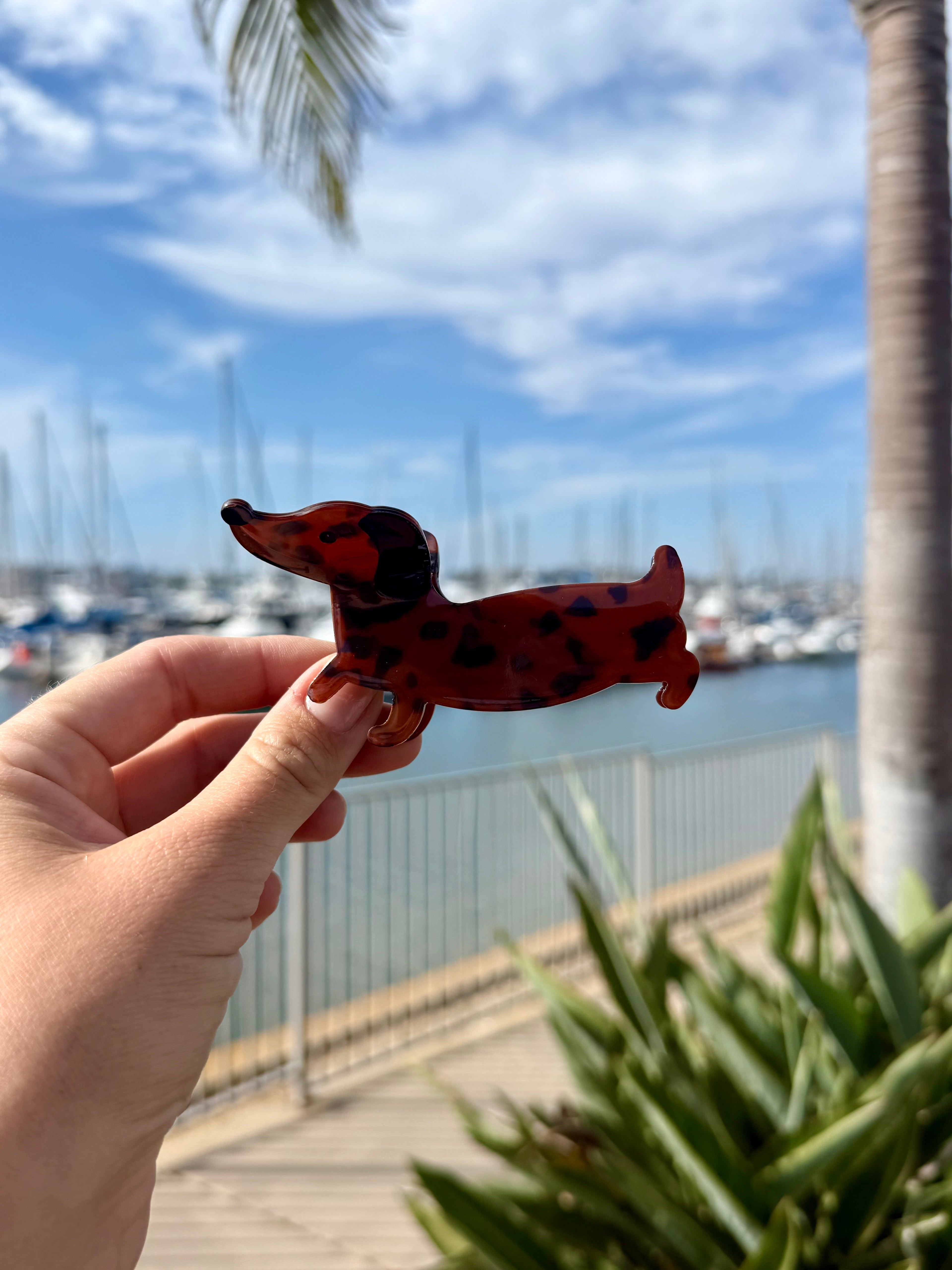 Dachshund Hair Claw Clip