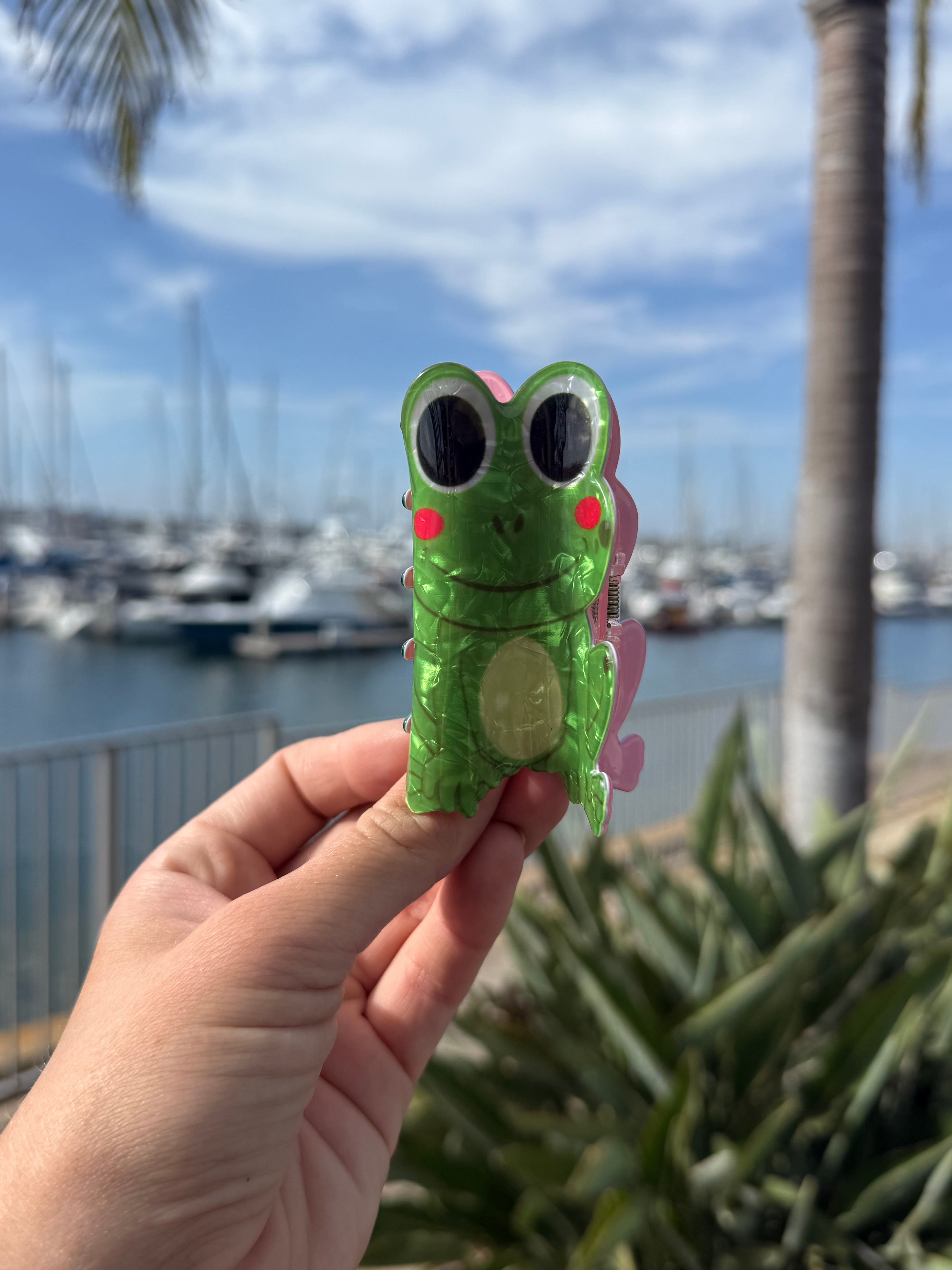 Frog Hair Claw Clip