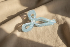 Blue bow with window light