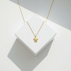 Overhead on white cube